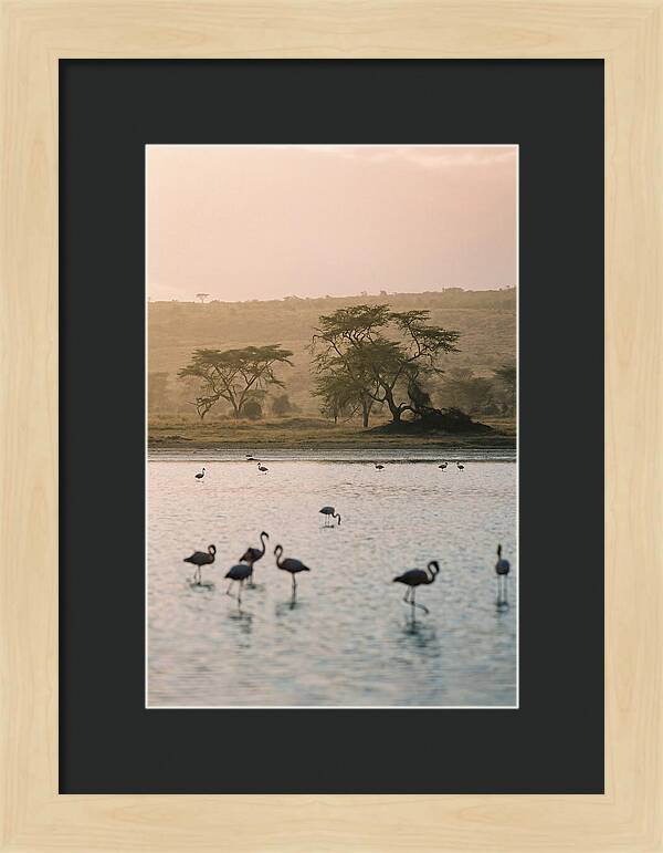 Serene Waters Of Lake Nakuru