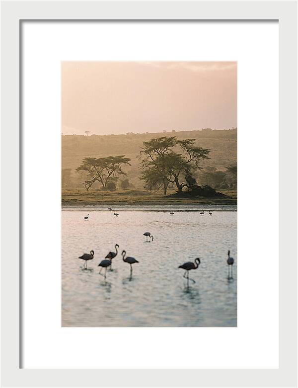 Serene Waters Of Lake Nakuru
