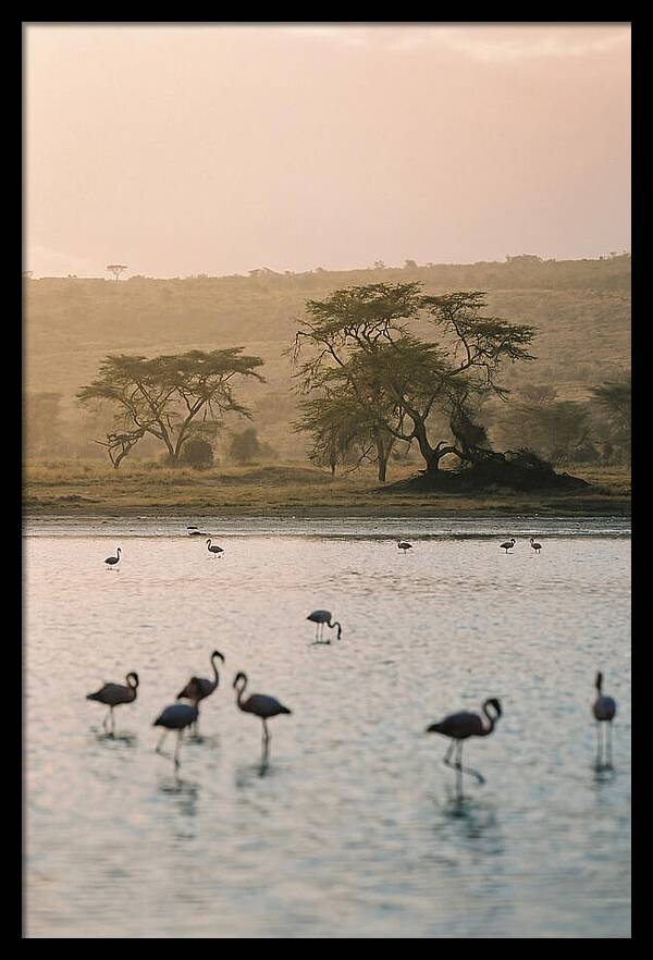 Serene Waters Of Lake Nakuru