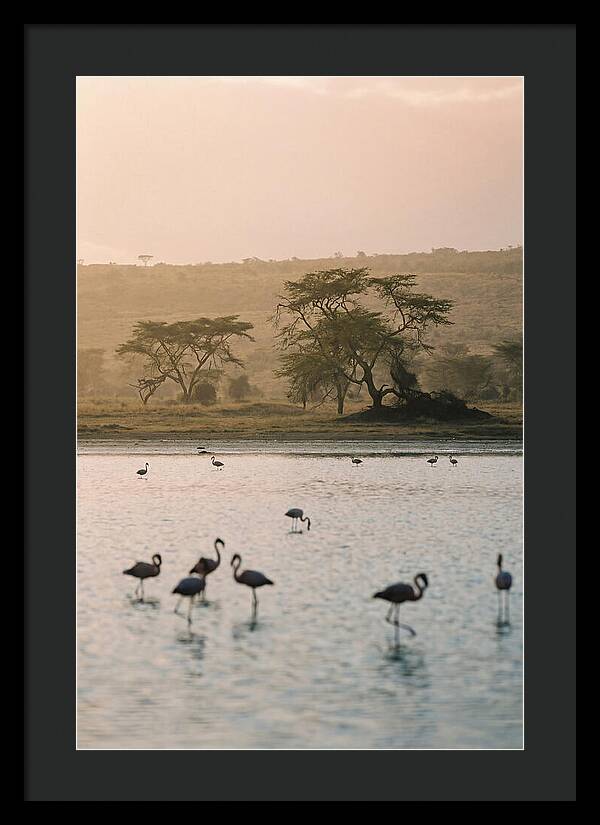 Serene Waters Of Lake Nakuru