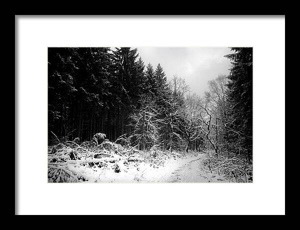 Serene Winter Scene In The Black Forest