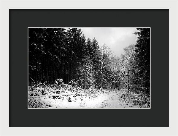 Serene Winter Scene In The Black Forest