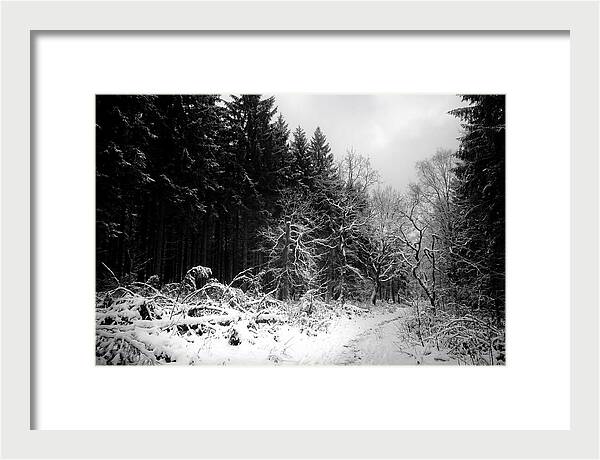 Serene Winter Scene In The Black Forest