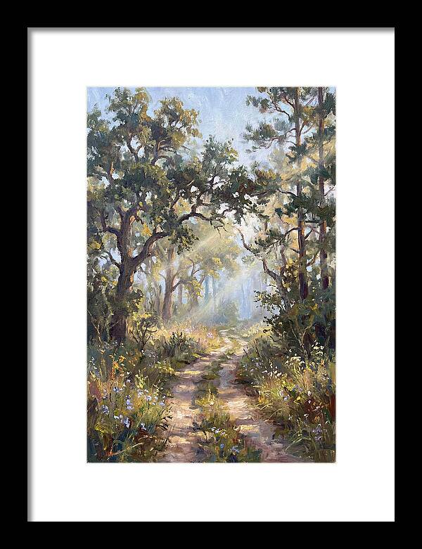 Serene Woodland Journey