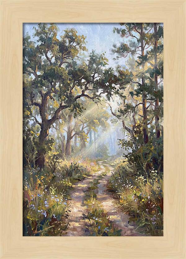 Serene Woodland Journey