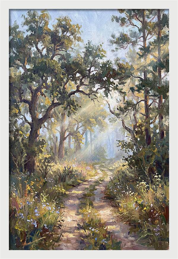 Serene Woodland Journey
