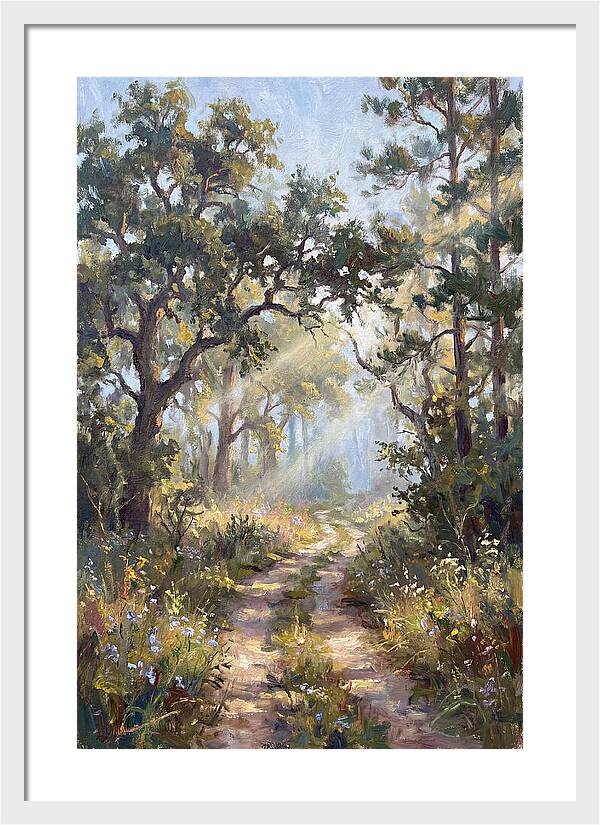Serene Woodland Journey