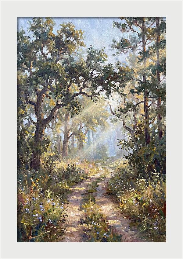 Serene Woodland Journey