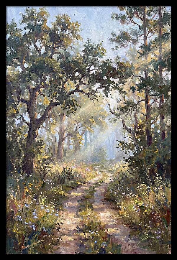 Serene Woodland Journey