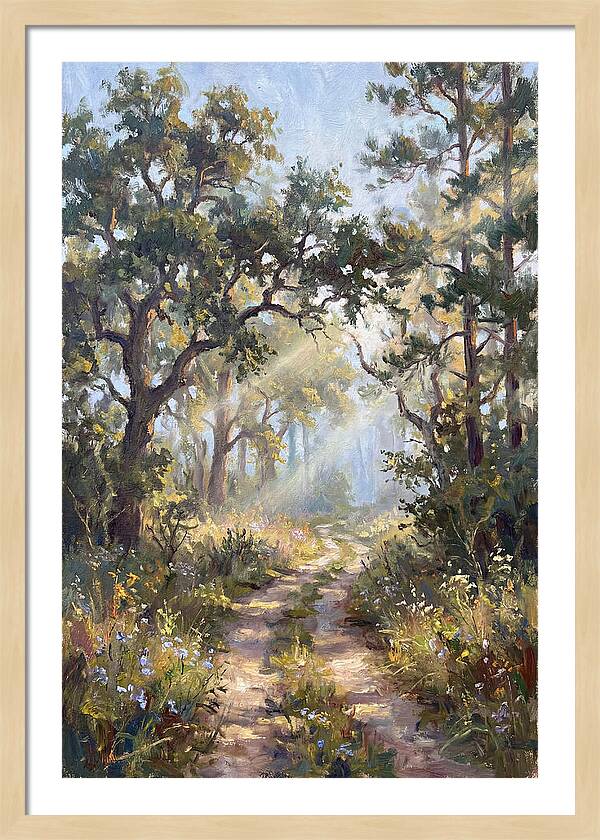 Serene Woodland Journey