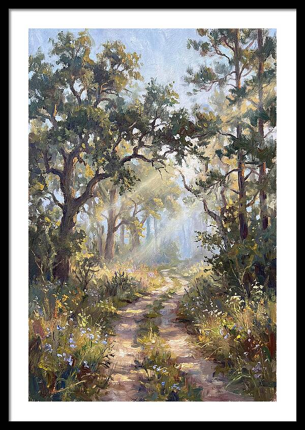 Serene Woodland Journey