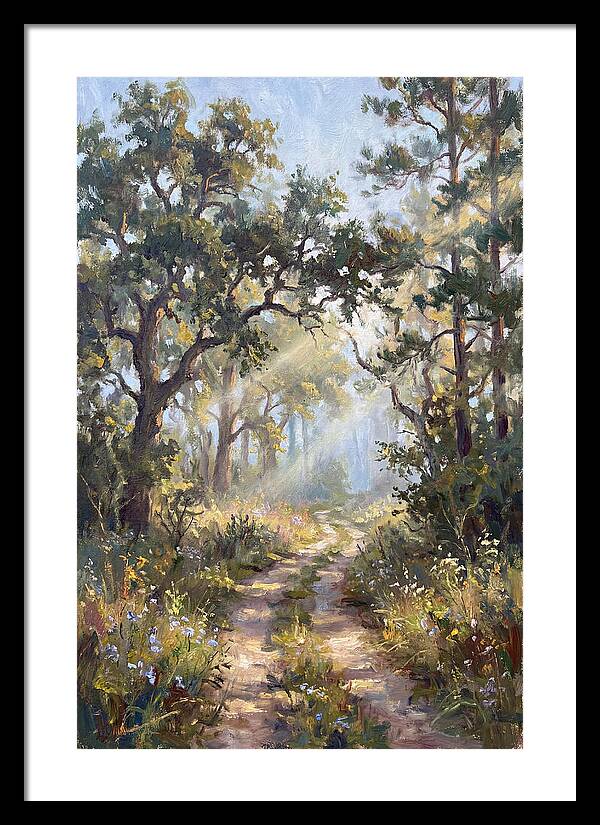 Serene Woodland Journey