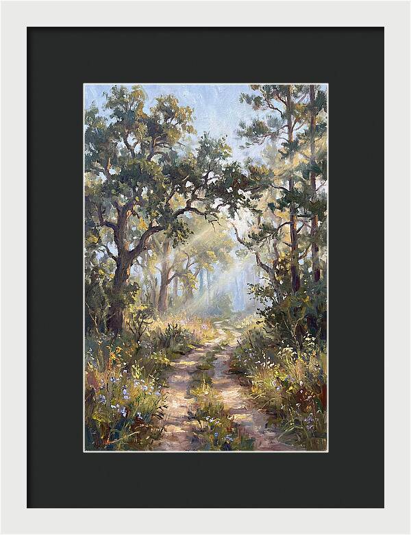 Serene Woodland Journey