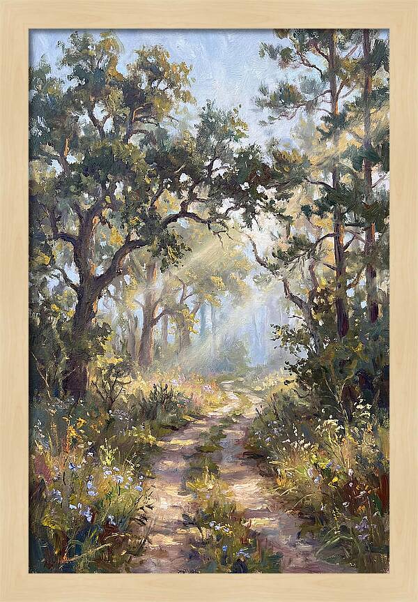 Serene Woodland Journey