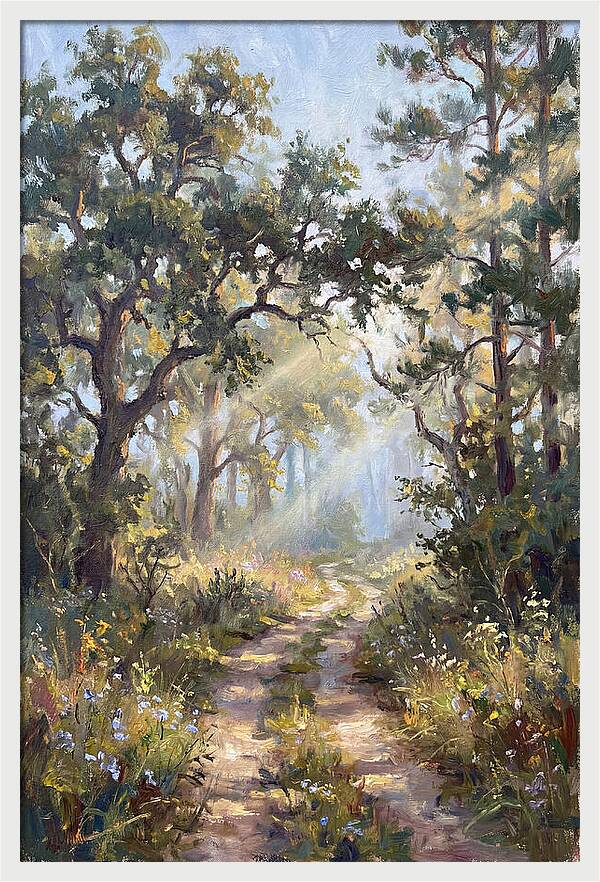 Serene Woodland Journey