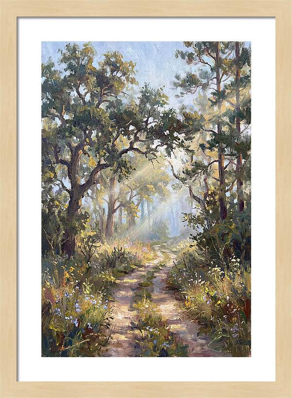 Serene Woodland Journey