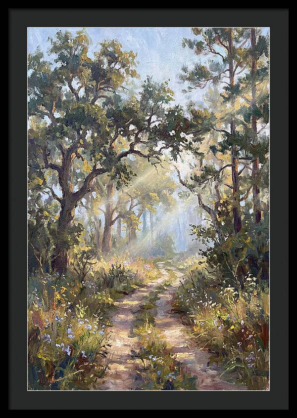 Serene Woodland Journey