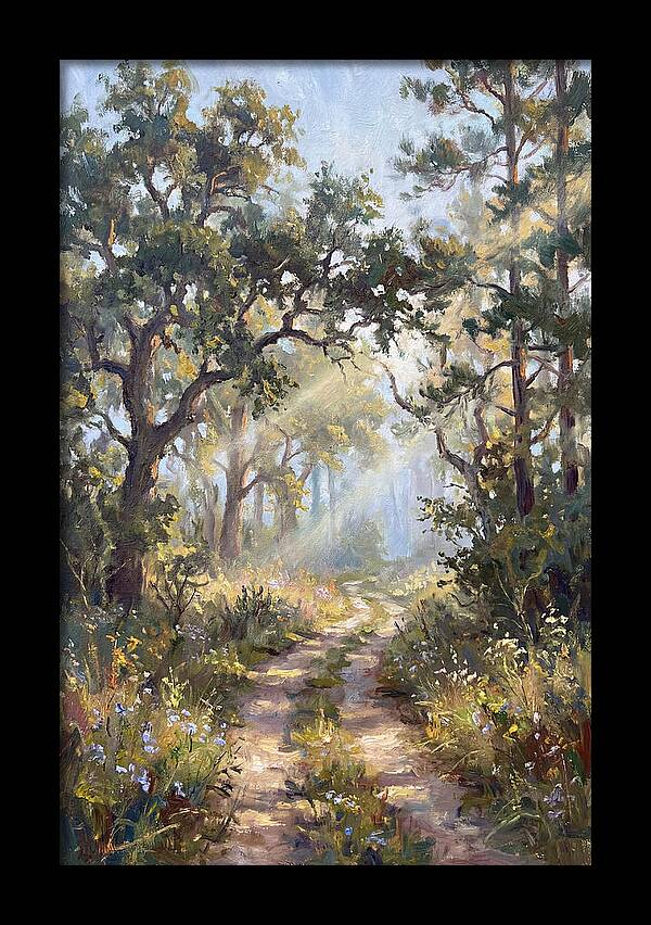 Serene Woodland Journey