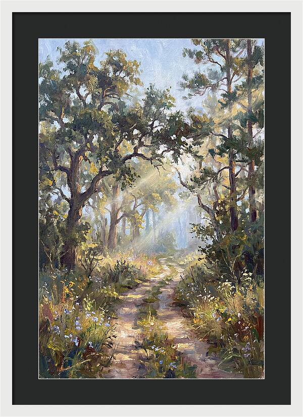 Serene Woodland Journey