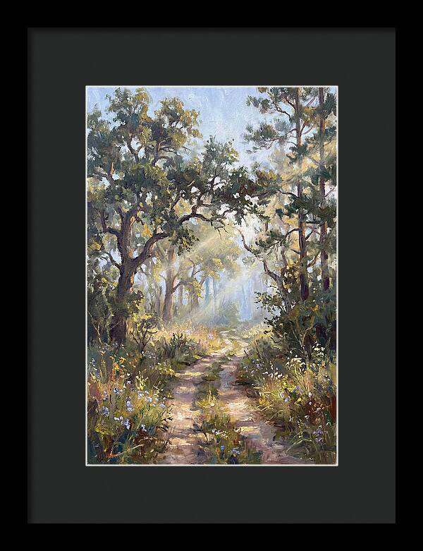 Serene Woodland Journey