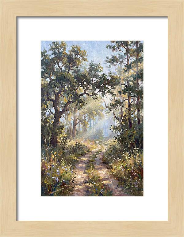 Serene Woodland Journey