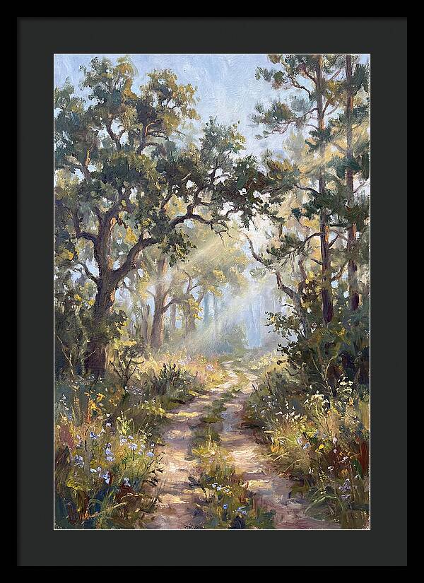 Serene Woodland Journey