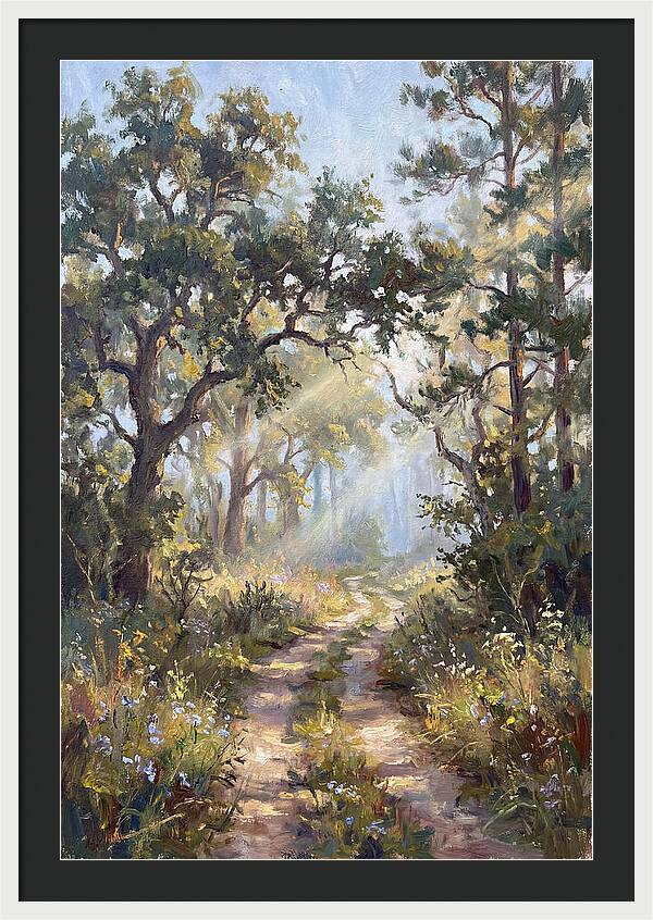 Serene Woodland Journey