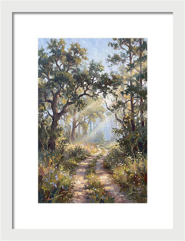 Serene Woodland Journey