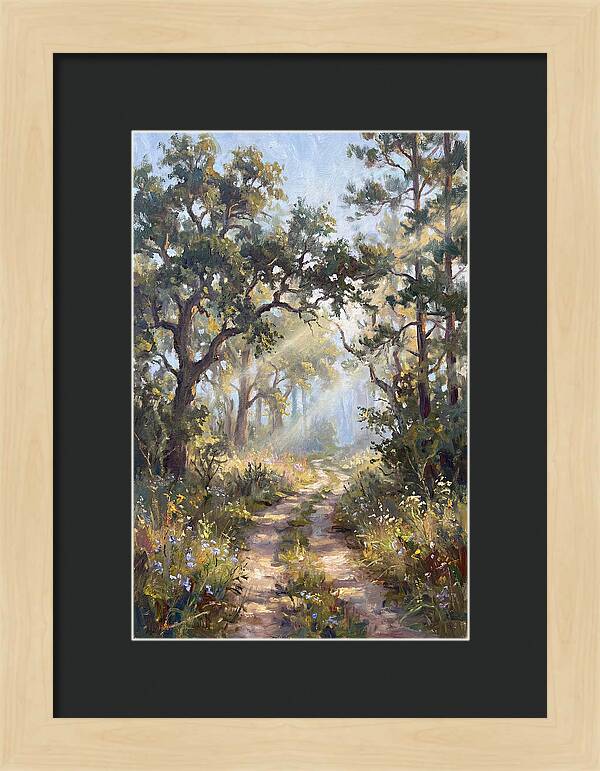 Serene Woodland Journey