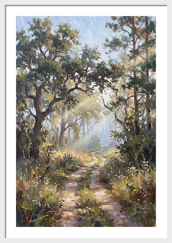 Serene Woodland Journey