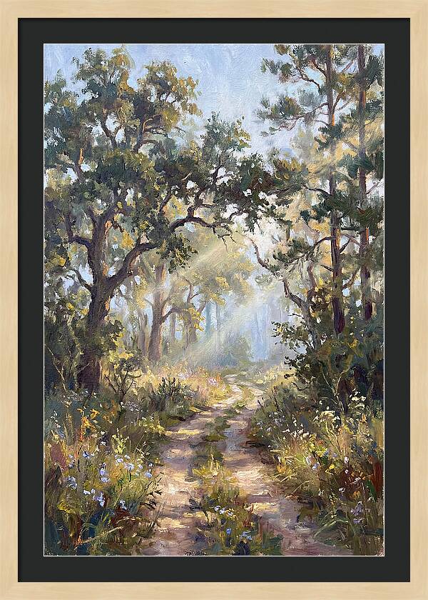 Serene Woodland Journey