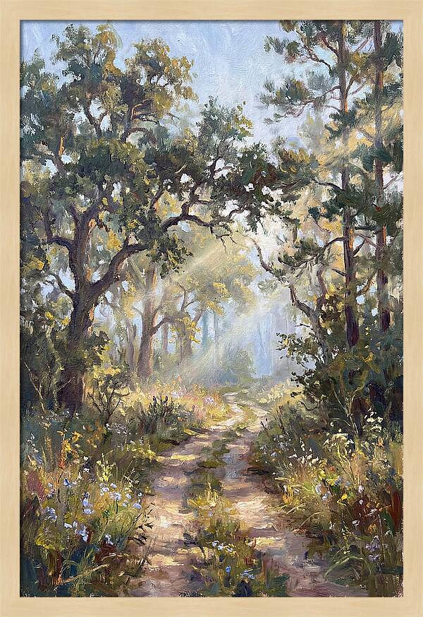 Serene Woodland Journey