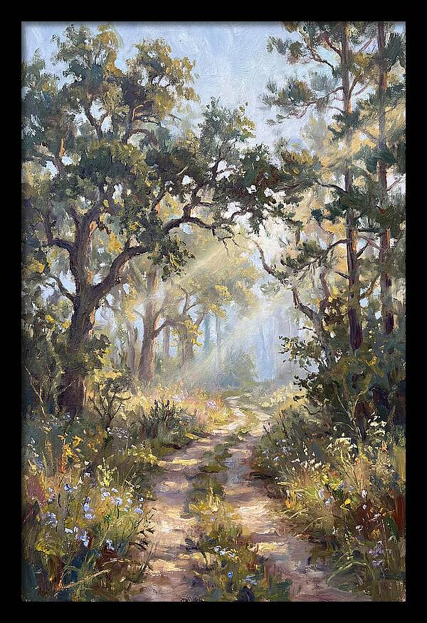 Serene Woodland Journey