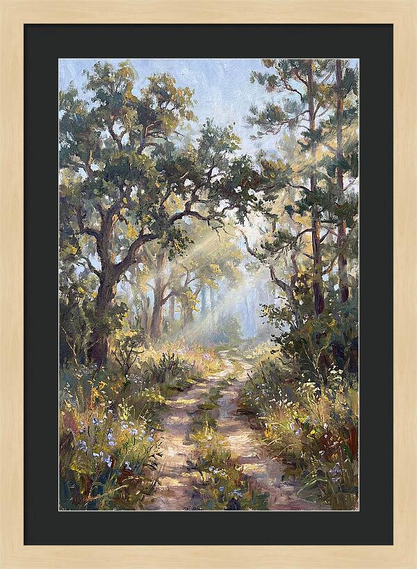 Serene Woodland Journey
