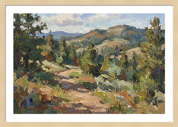 Serenity Along The Mountain Trail