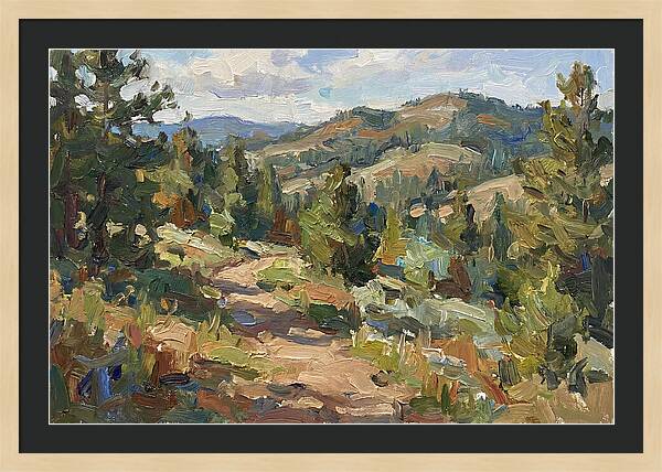 Serenity Along The Mountain Trail