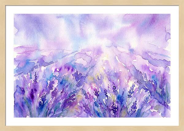 Serenity Among Lavender Blooms