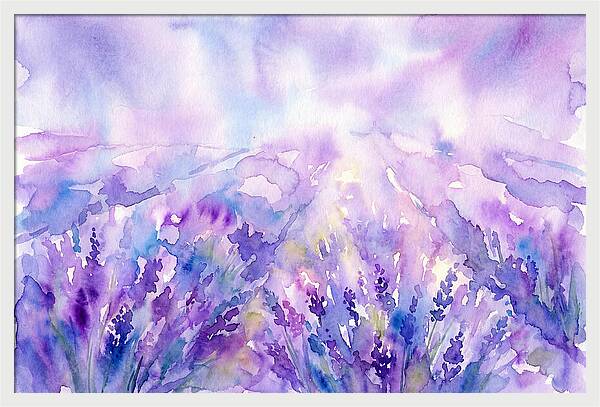 Serenity Among Lavender Blooms