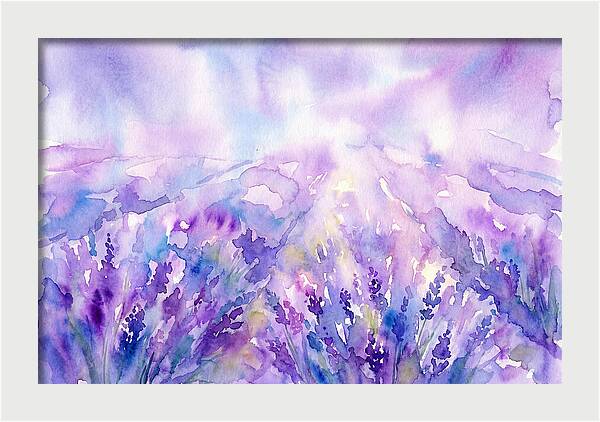 Serenity Among Lavender Blooms