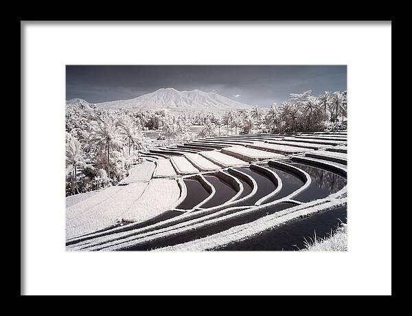 Serenity Among Tegalalang Rice Terraces