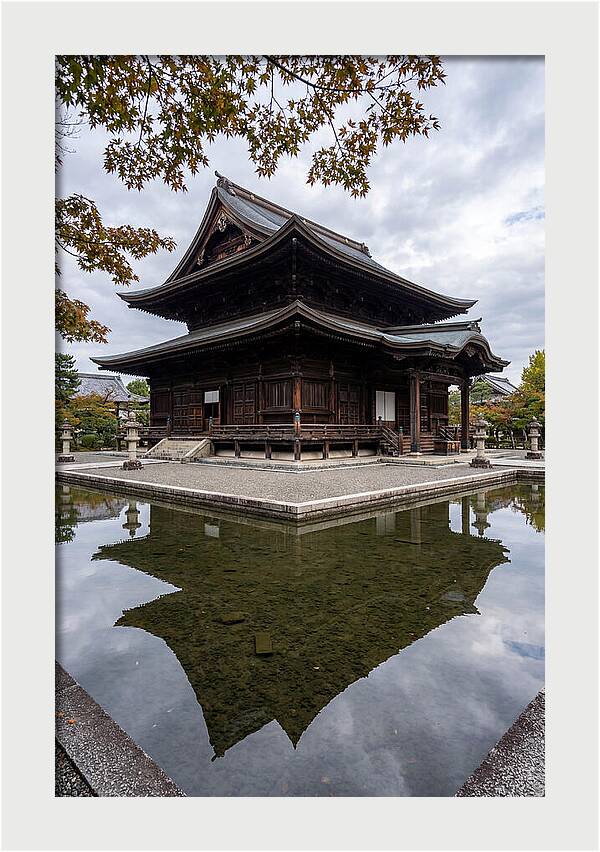 Serenity At Byodo In Temple