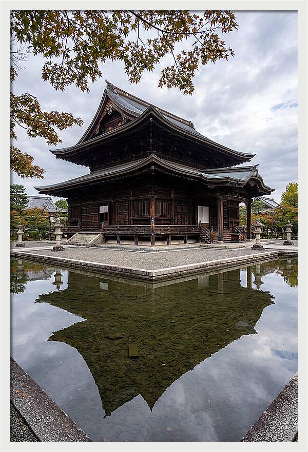 Serenity At Byodo In Temple