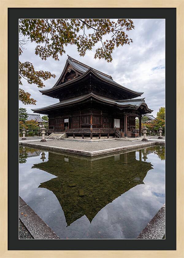 Serenity At Byodo In Temple