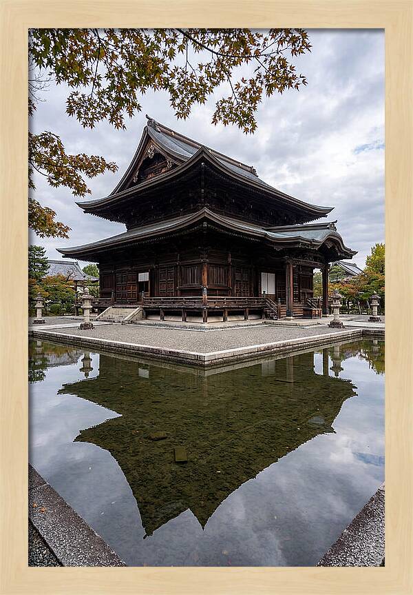 Serenity At Byodo In Temple