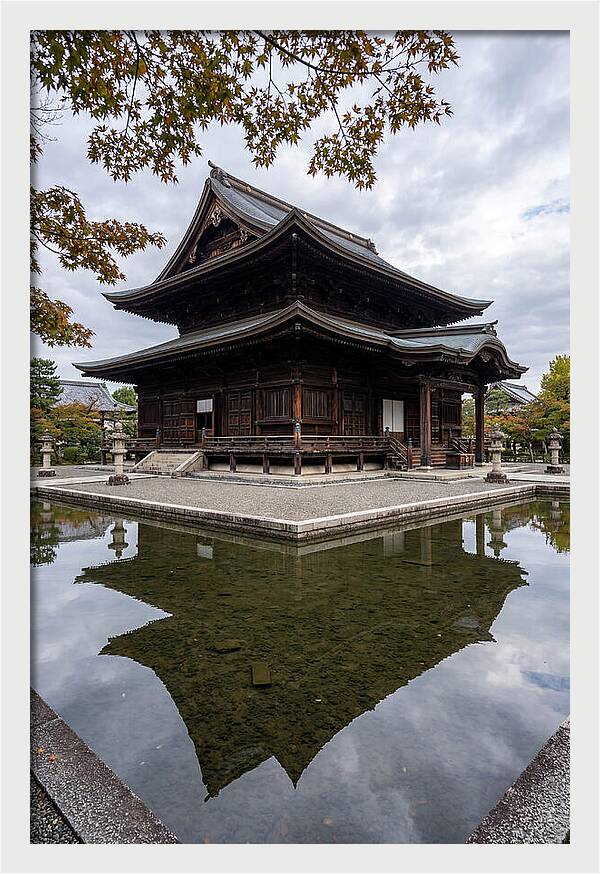 Serenity At Byodo In Temple