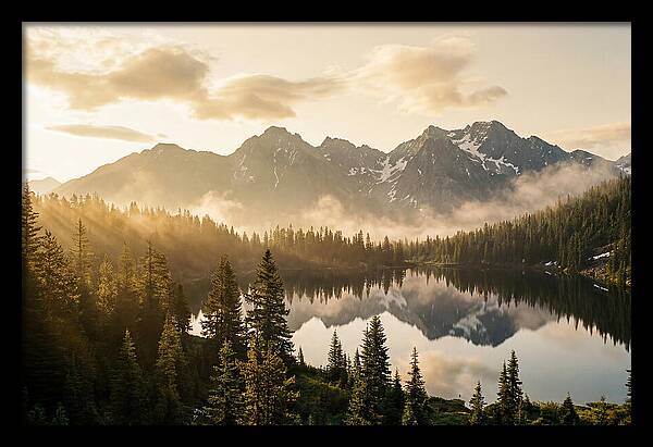 Serenity At Mount Rainier