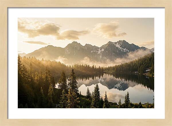 Serenity At Mount Rainier