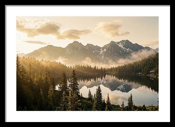 Serenity At Mount Rainier