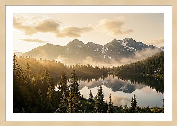 Serenity At Mount Rainier