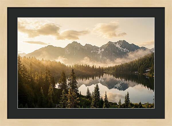 Serenity At Mount Rainier
